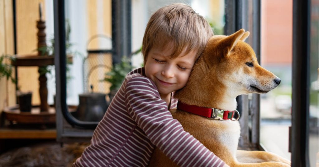 Child and Pet safety
